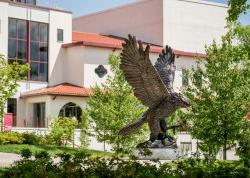 Campus hawk statue